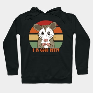 I is Good Kitty Funny Possum Pet - More than a Ugly Kitty Hoodie